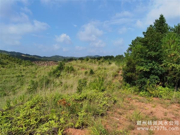 嘉峪关市带着徒弟上山学杨公风水现场操作